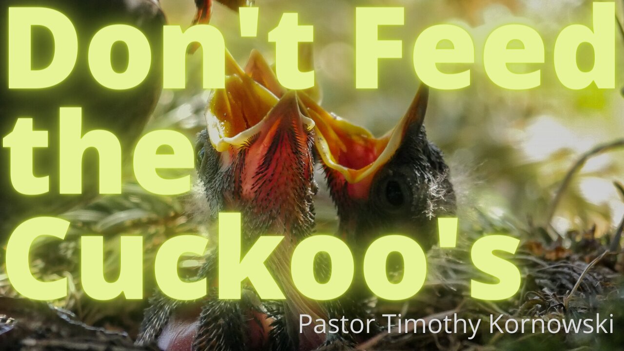 Don't Feed the Cuckoo's- Pastor Timothy Kornowski