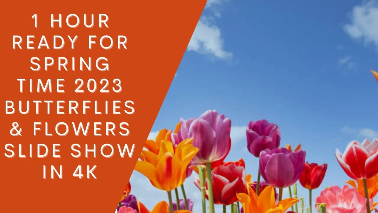 1 Hour Ready For Spring Time 2023 Butterflies & Flowers Slide Meditation Show In 4K #meditation #spring2023 #relax #stress #Anxiety