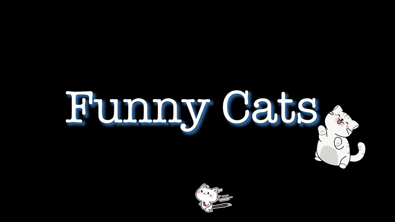 Funny Cat Volume 1