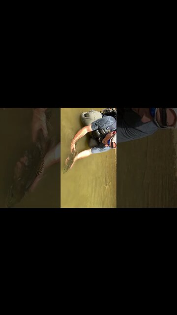 Biggest smallmouth bass ever ( his new PB!!)