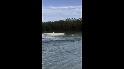 Hurricane Milton Impacts On Tigertail Beach | 4K