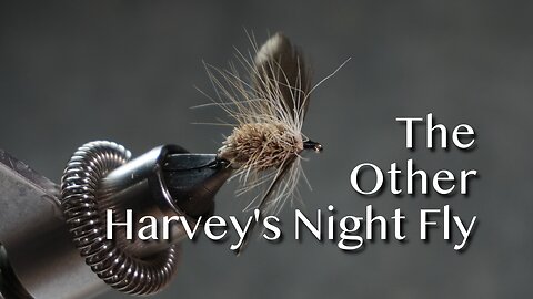 The “Other” Harvey’s Night Fly