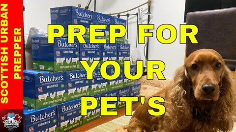 Prepping Prepare for your animals - Dog Food Haul