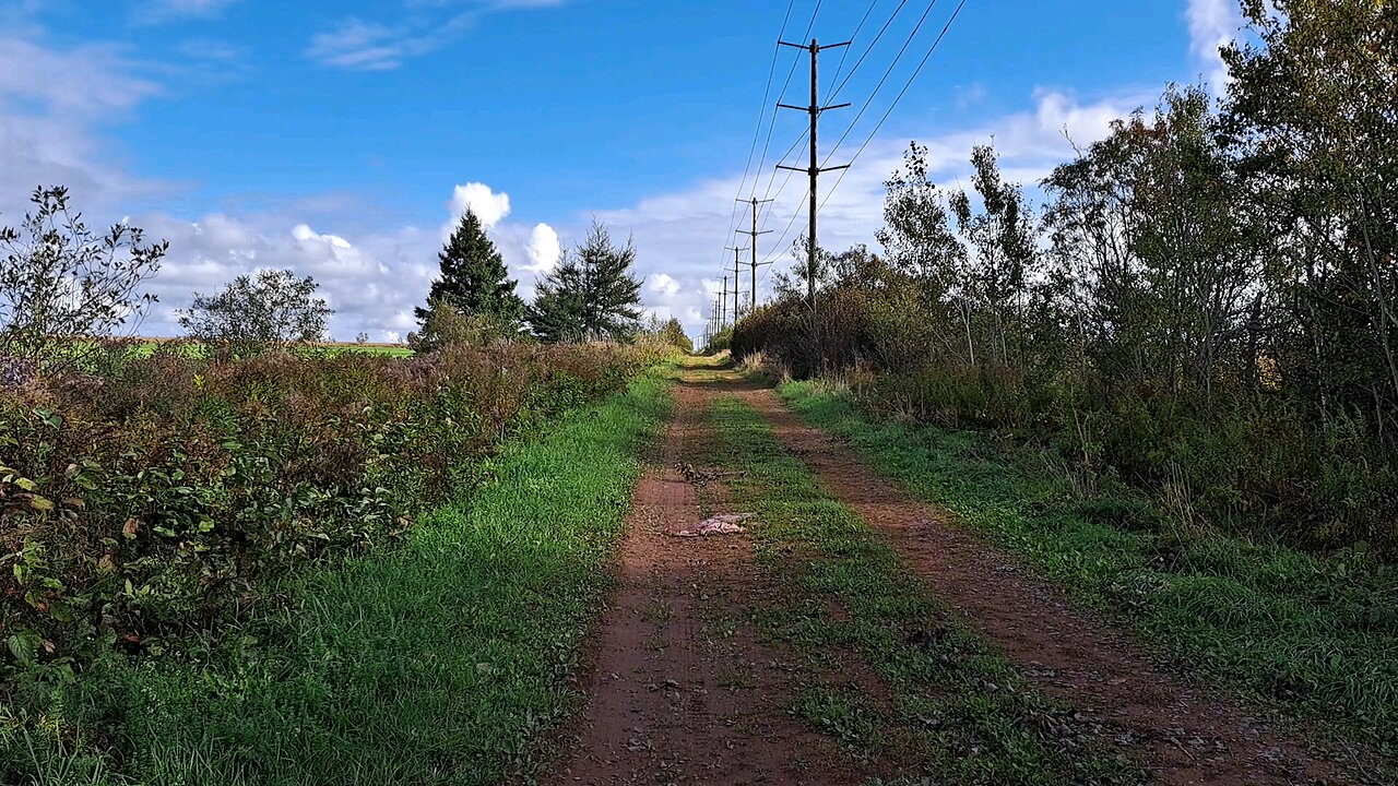 A nice day for a walk October 6th 2024