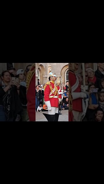 Disssssssmount #horseguardsparade