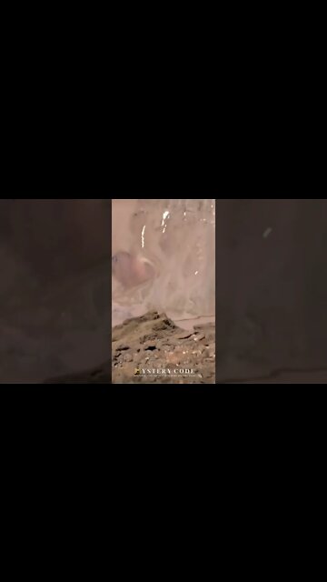 Mysterious TUNNEL Inside the Mountain