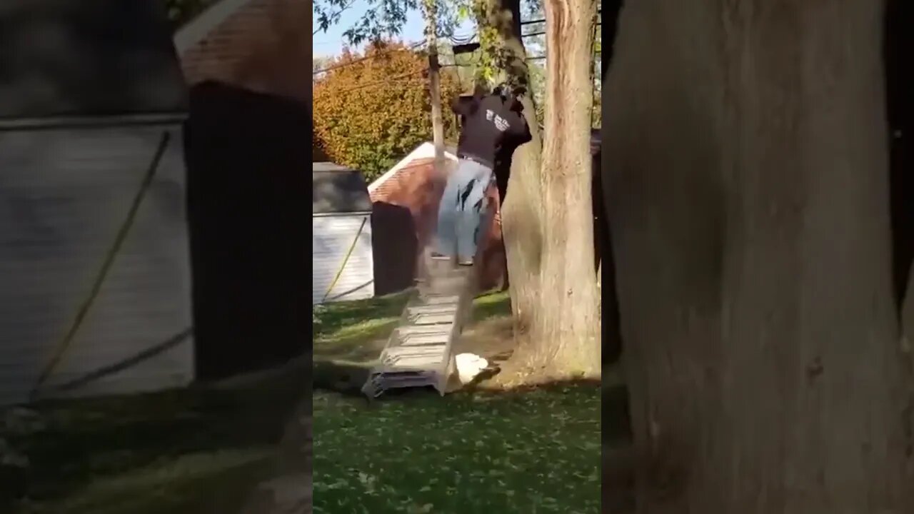 Funniest Falls and fails by Stupid people