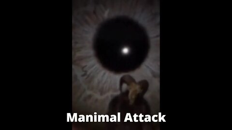 Amazing Shorts, Attacked By Manimal #shorts #short #shortvideo
