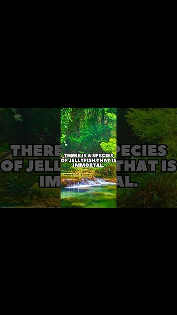 Incredible Random Facts That Will Expand Your Mind! [2023] #shorts #facts #viralshorts #fyp #life