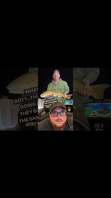 Here’s Your Dose Of REALarious…🤣🤣🤣 with @justin_danger_nunley #makeyoulaugh #comedy #duet