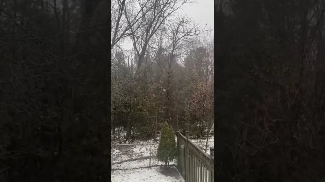 Let it snow!#snow#christmas