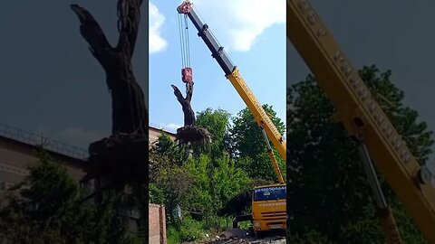 Машины разные нужны,машины разные важны/ Удаление дерева/ Строительные работв в ст Каневская/Арболит