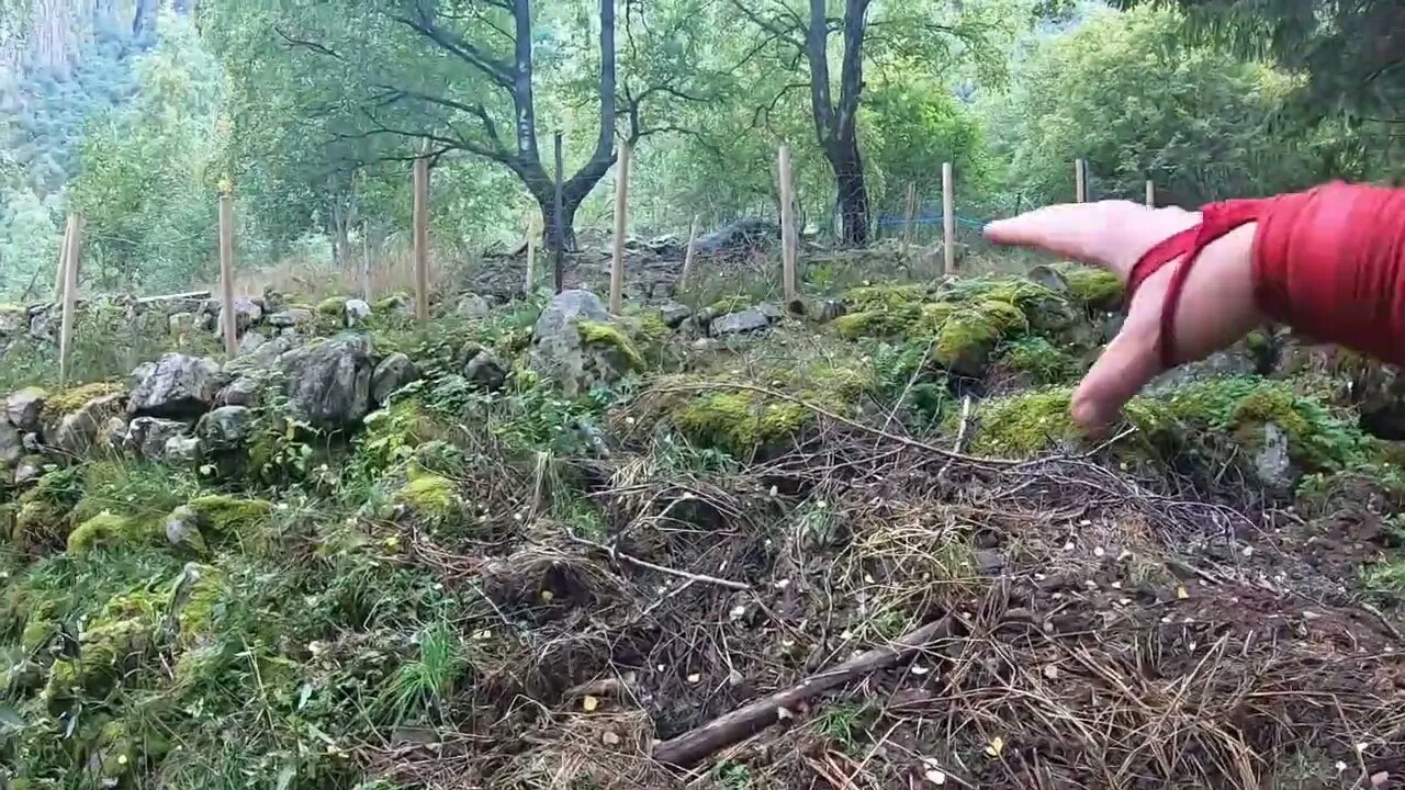More fun
