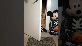 Halloween To Christmas