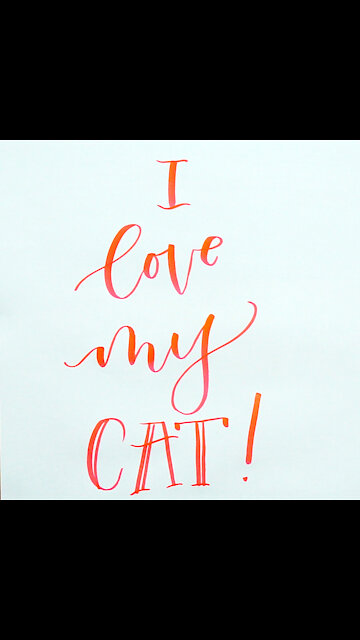 I Love My Cat [GMG Originals]