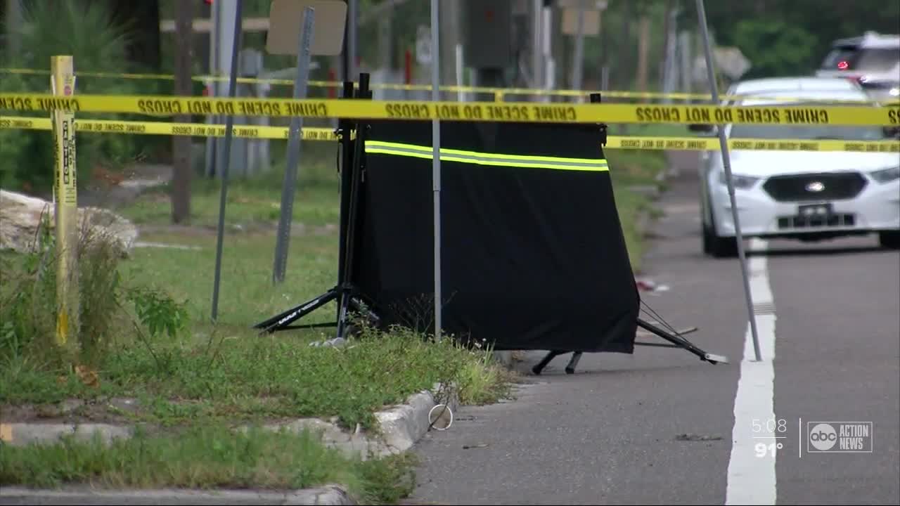 Homicide detectives investigating after jogger finds human head near road in St. Pete