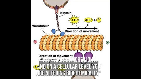 Cellular Polarity Shift