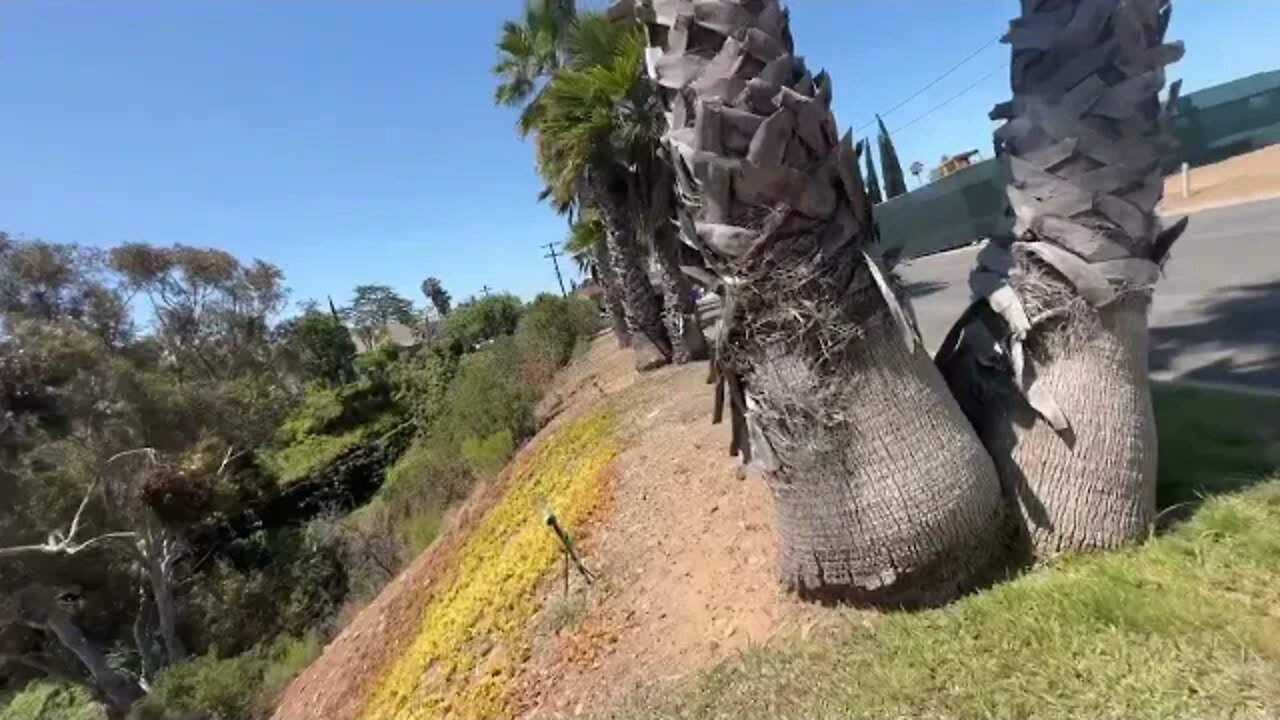 Bike ride in San Diego