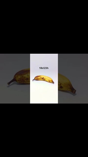 Amazing Shorts with trending mind blowing video #shorts #viral