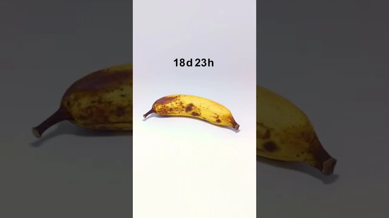 Amazing Shorts with trending mind blowing video #shorts #viral