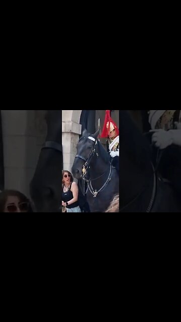 First shout in ages tourist jumps get off the reins #horseguardsparade