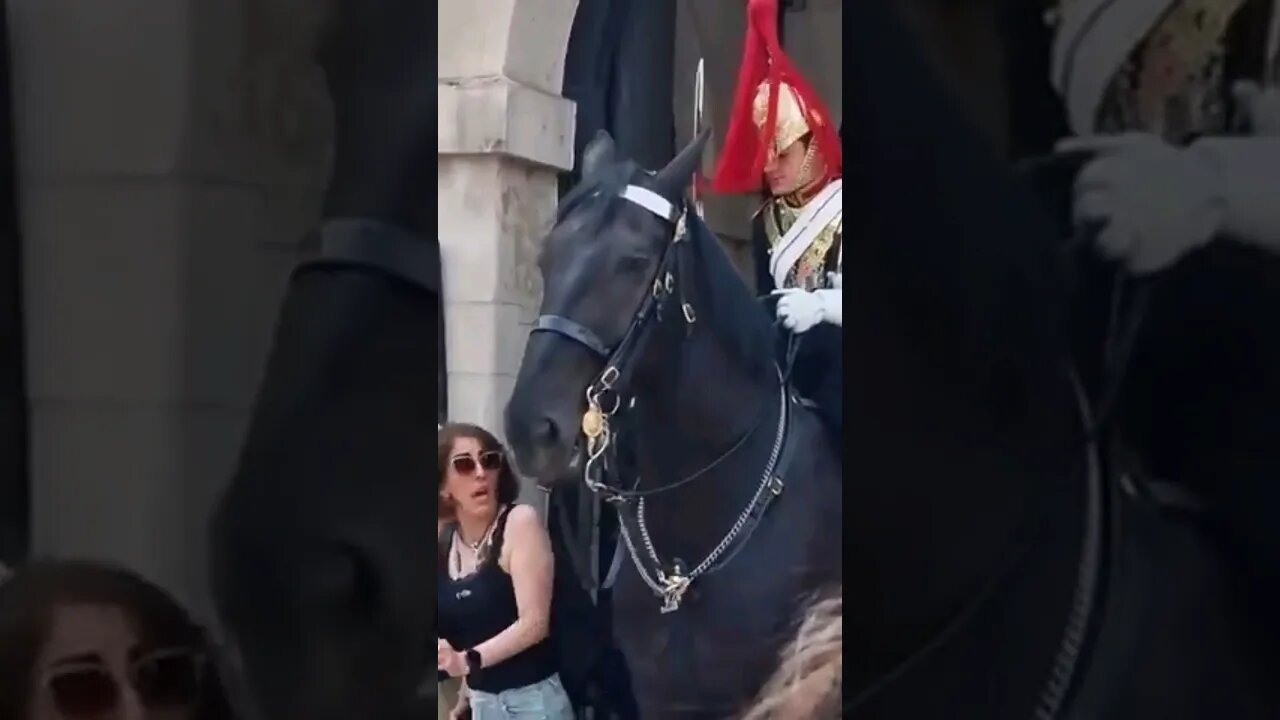 First shout in ages tourist jumps get off the reins #horseguardsparade