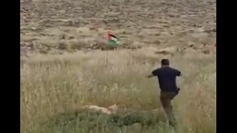 Israeli man tries to remove Palestinian flag in the Binyamin district, east of Ramallah.