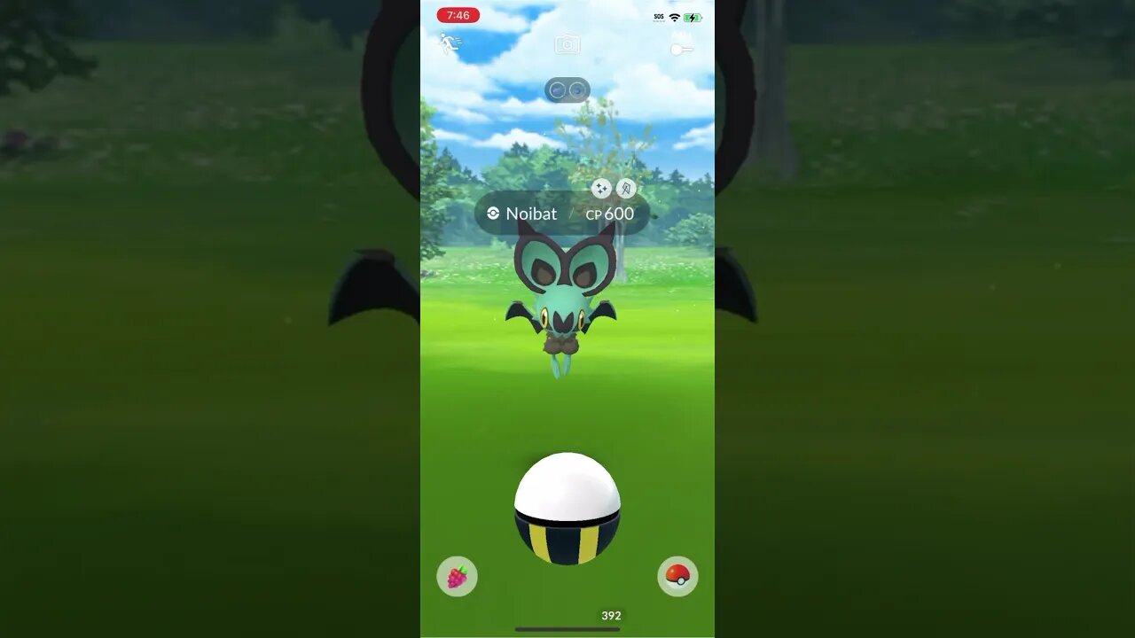 Shiny Noibat Compilation