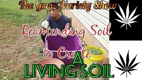 Reamending soil to Create Living Soil & 4 plant training methods (The Grow Variety Show ep.214)