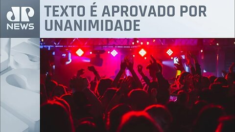 Câmara de SP aprova projeto de combate à violência sexual contra mulheres em casas noturnas