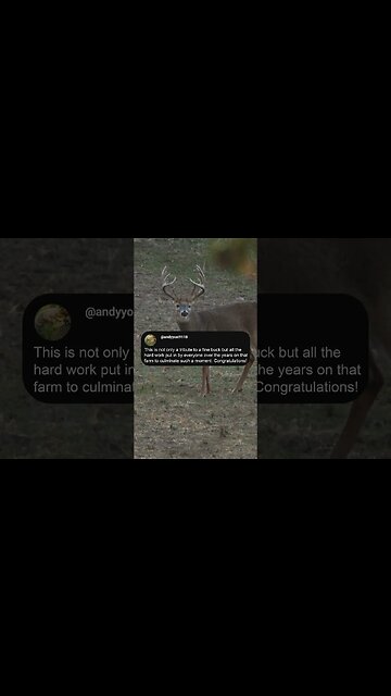 The Feedback Has Been UNREAL!