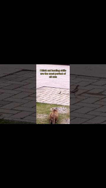 Most Amazing and trending video||relaxing your mind||trendig videos|| #shorts #trending #viral #live