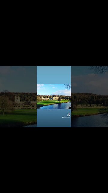 afternoon walk, fresh air , tea and scones