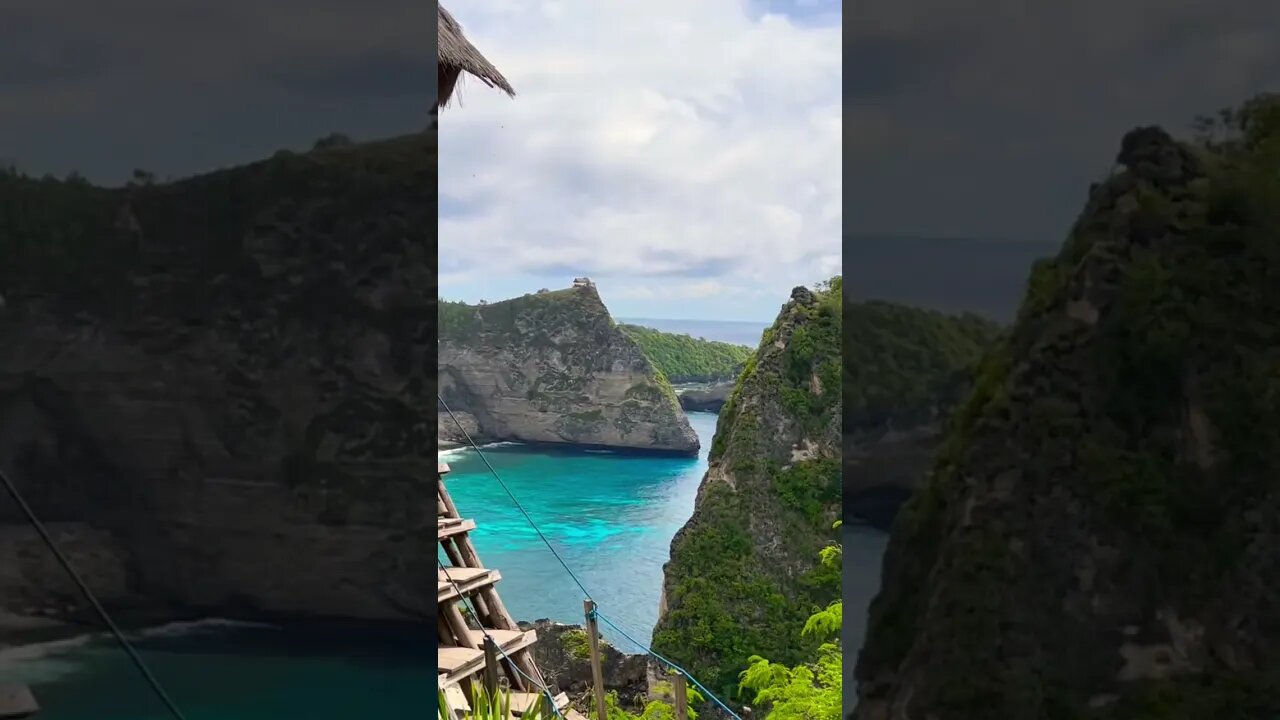 Rumah Pohon “Tree House” in Nusa Penida | Bali #new #trending #youtubeshorts #treehouse #nusapenida