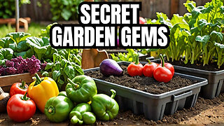 The Most Underrated Vegetables for Your Home garden: Perfect for Beginners!