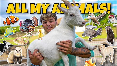 ALL_My_ANIMALS_on_My_Property_in_ONE_Video!!__PaulCuffaro12
