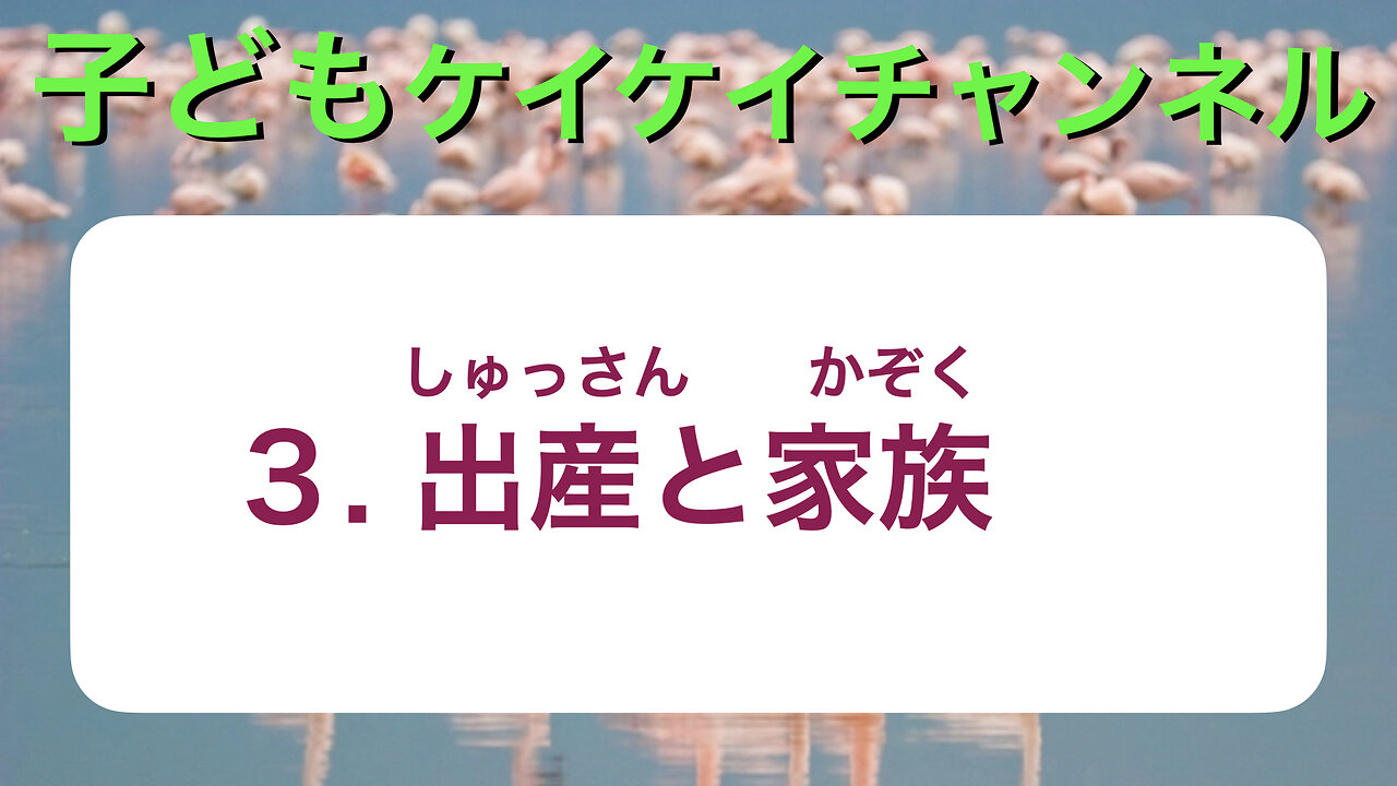 子どもKeiKeiChannel 3 出産と家族