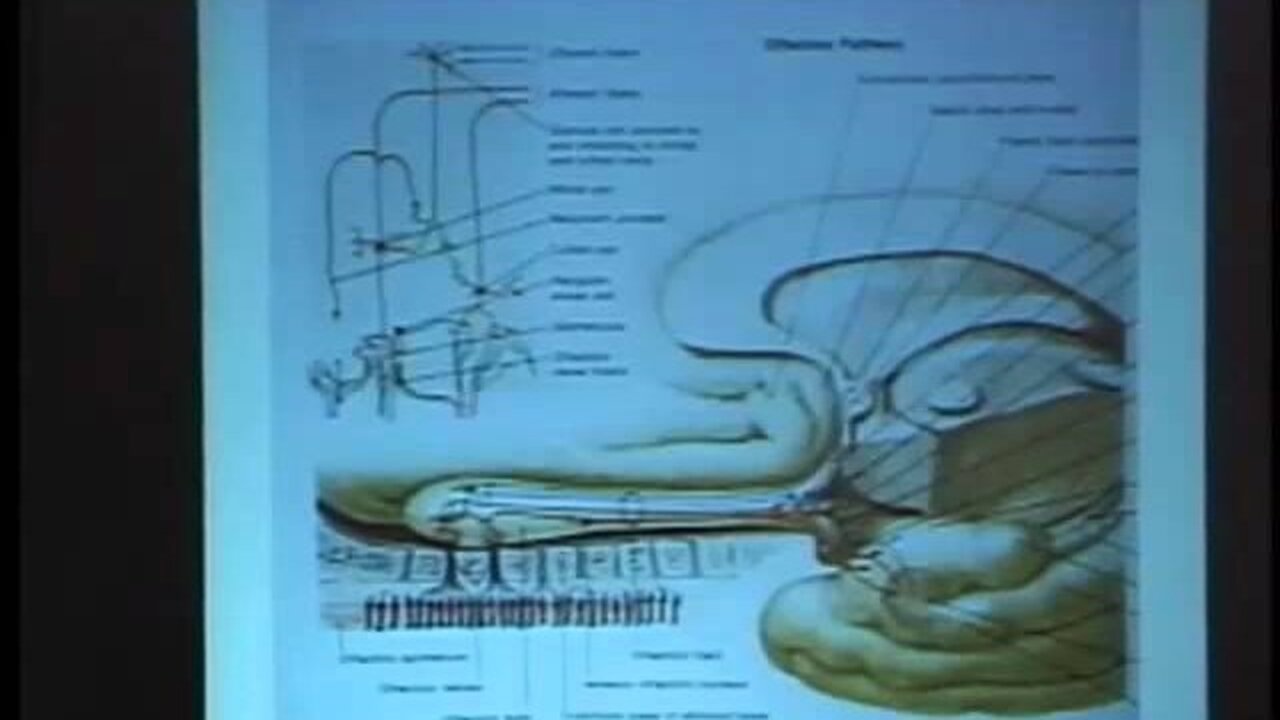 Mike Godfrey, MD reviews the adverse effects of mercury fillings IAOMT L.V. 2007.