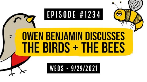 #1234 Owen Benjamin Discusses The Birds & The Bees