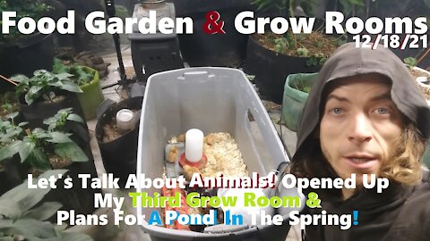 Talk Animals! Opened Up Third Grow Room & Plans For A Spring Pond! 12/18/21 Food Garden & Grow Rooms