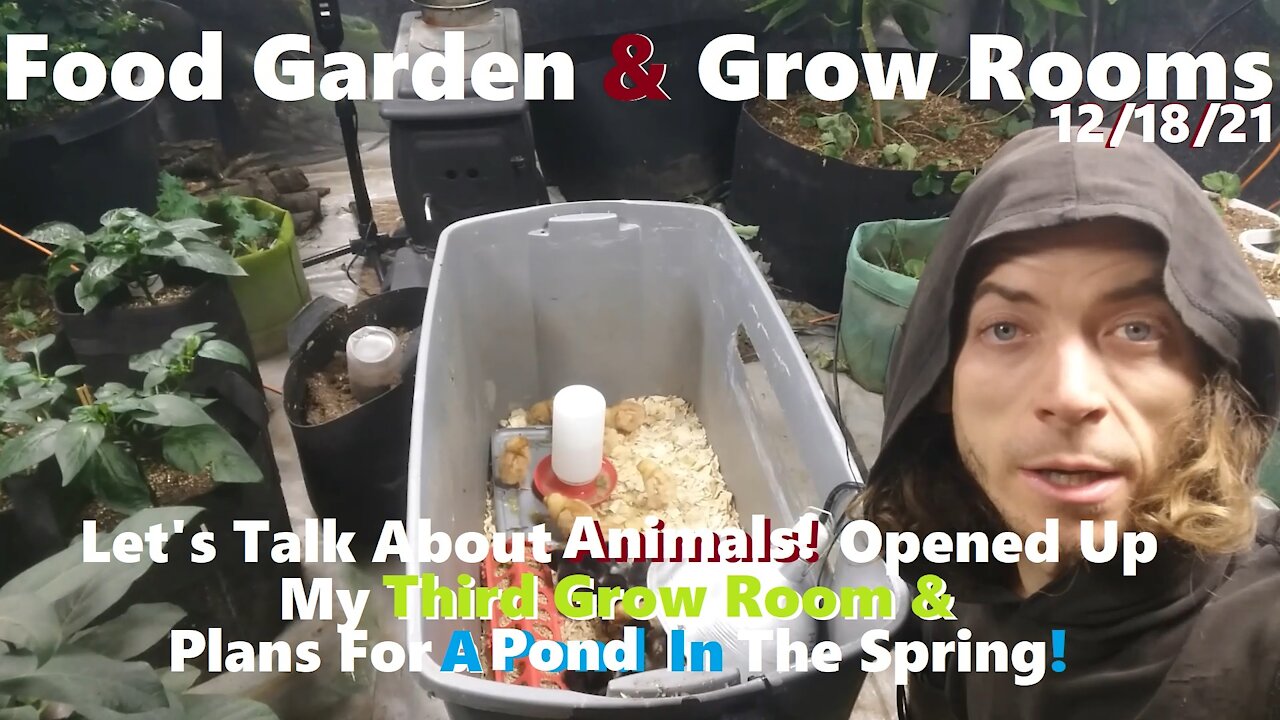 Talk Animals! Opened Up Third Grow Room & Plans For A Spring Pond! 12/18/21 Food Garden & Grow Rooms