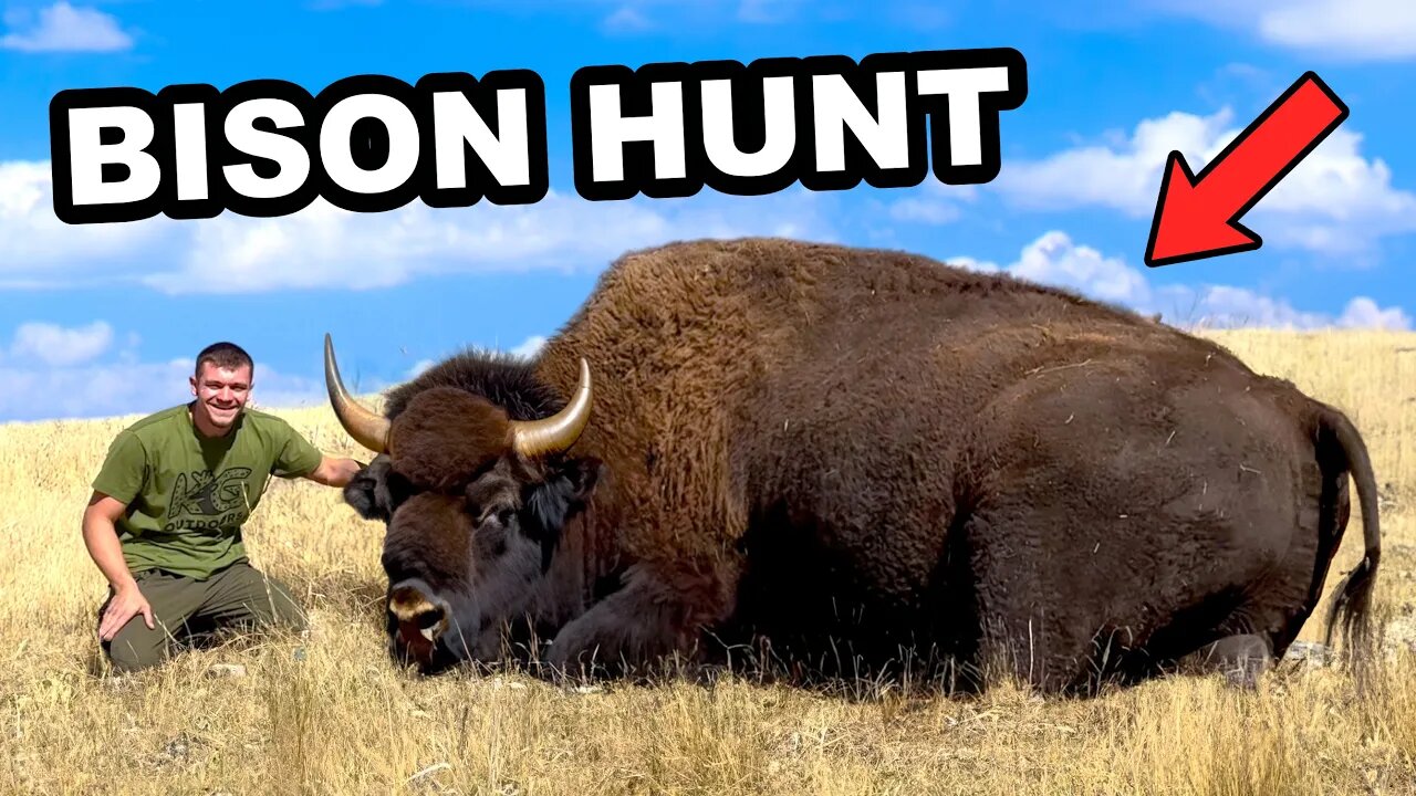 Sorry bison 😢.I Hunted the American Bison!