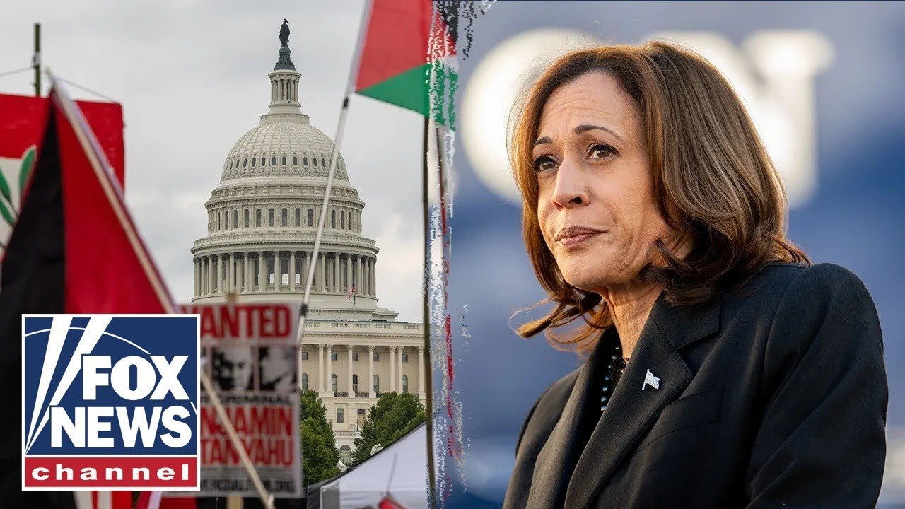 ‘NAIVE’: Kamala Harris is ‘unprepared’ to be the commander-in-chief