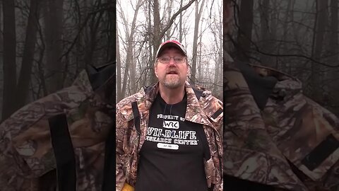What to do during late winter #deer #deerhunting #foodplot #landmanagement #shorts