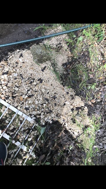 Deluge in central Texas