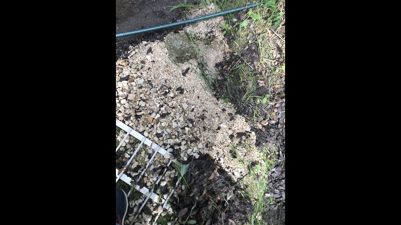 Deluge in central Texas