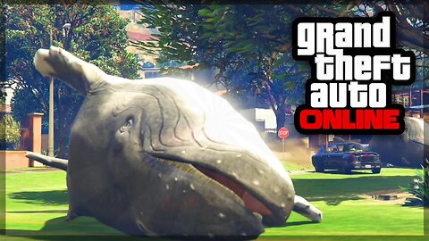GTA 5 Online WHALE GAMEPLAY! - Rare Animals In GTA 5 Online! (GTA 5 Gameplay)