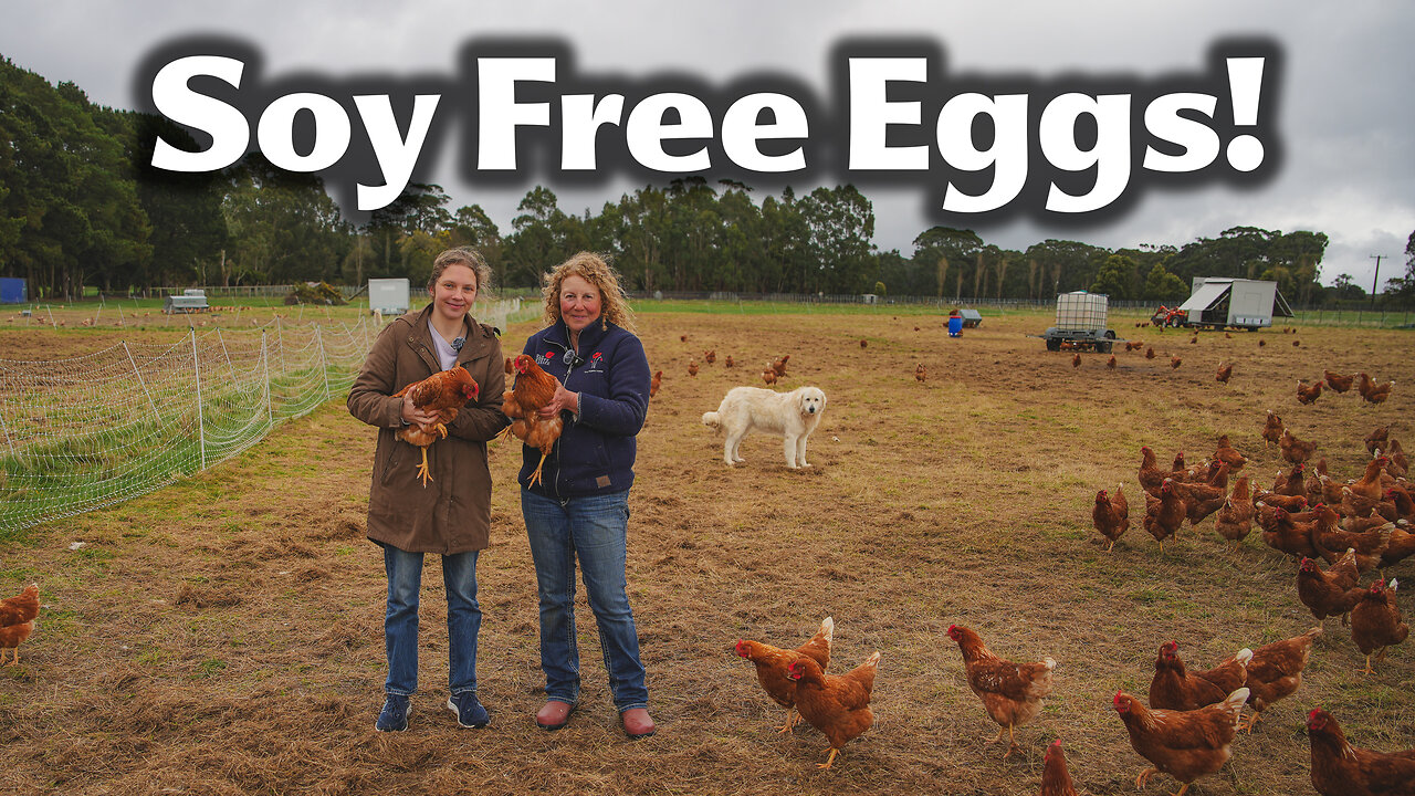 She Did It For Her Son! The BEST Soy Free, Organic, Regen Farm in Australia