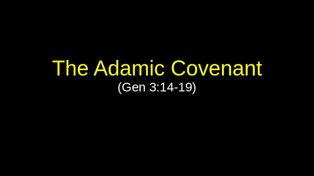 The Adamic Covenant