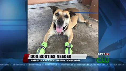 Friends of Pima Animal Care Center seeks dog bootie donations